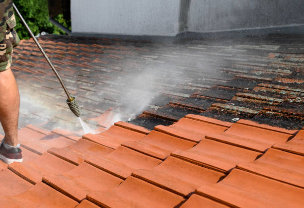 Best Deck Cleaning Services  in Newton Falls, OH