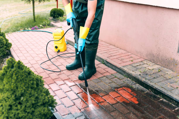 Best Local Pressure Washing Services  in Newton Falls, OH