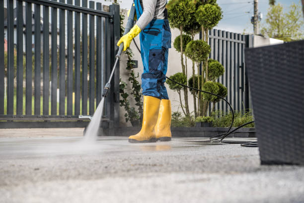 Best Affordable Power Washing  in Newton Falls, OH
